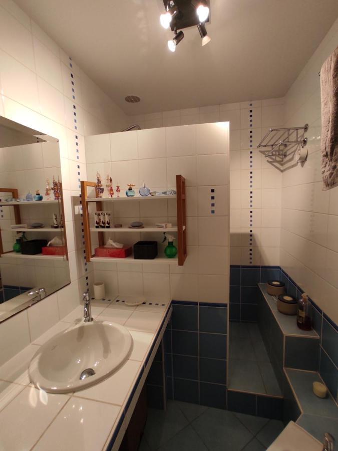 Appartement Calme Proche Toulouse Saint-Jean  Zewnętrze zdjęcie
